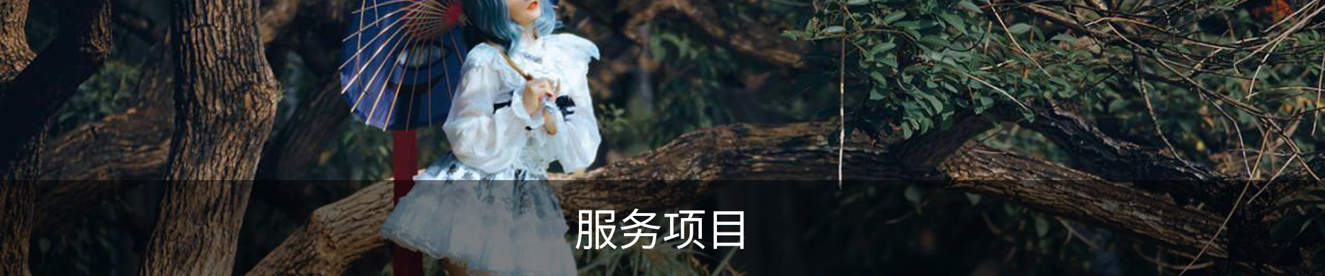服务项目